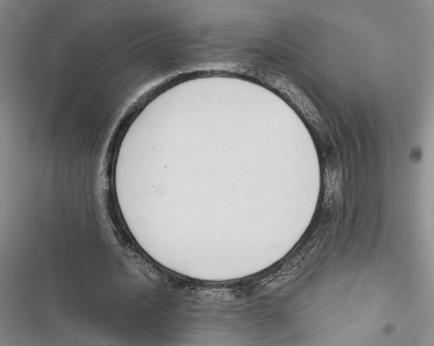 X0000116860628201001191702