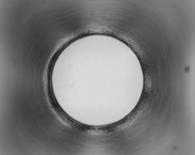 X0000116860630201001191702