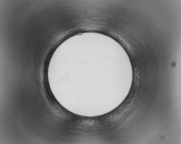 X0000116860631201001191702