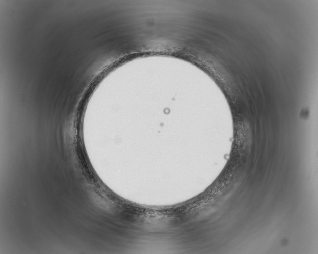 X0000116860632201001191702