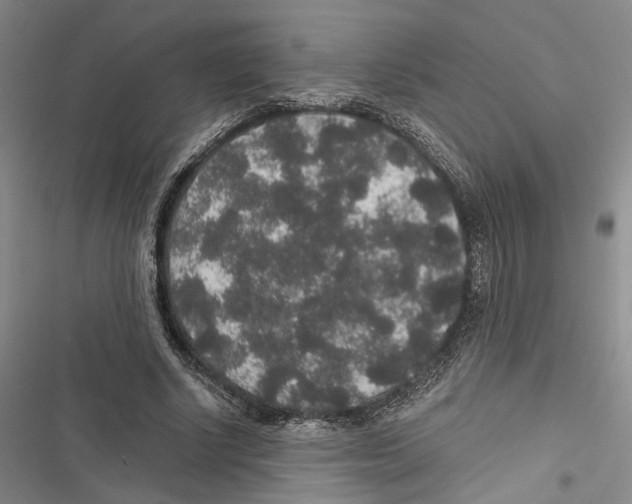 X0000116860634201001191702