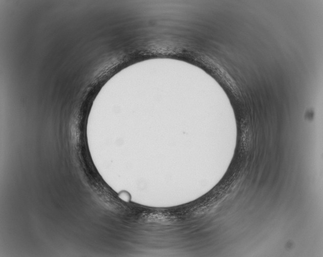 X0000116860635201001191702