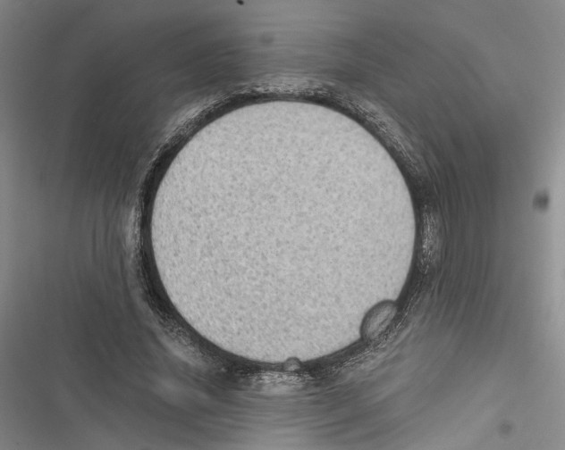 X0000116860636201001191702