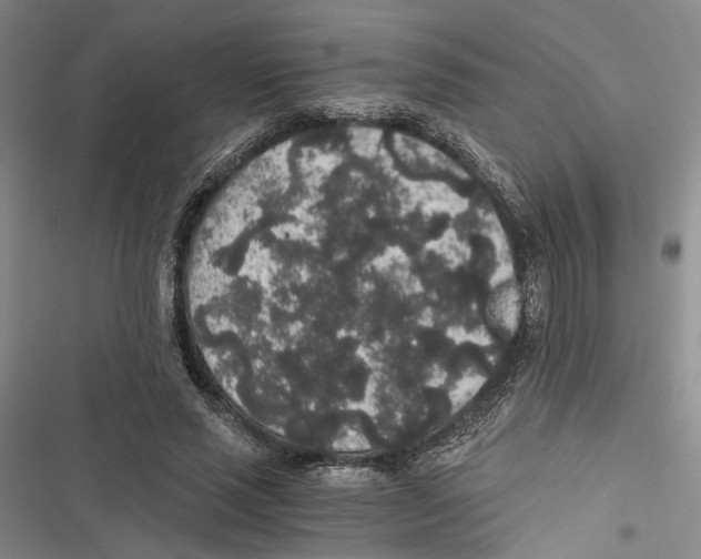 X0000116860637201001191702