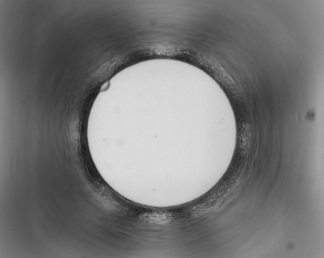 X0000116860639201001191702