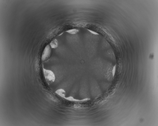 X0000116860641201001191702