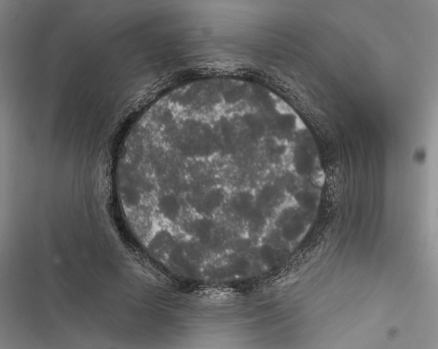 X0000116860642201001191702