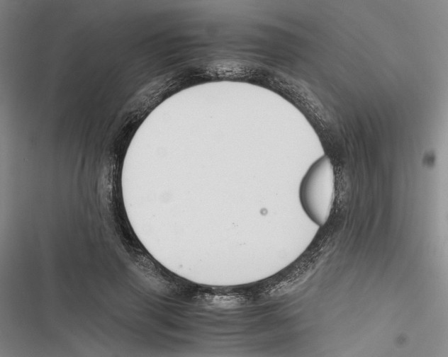 X0000116860645201001191702