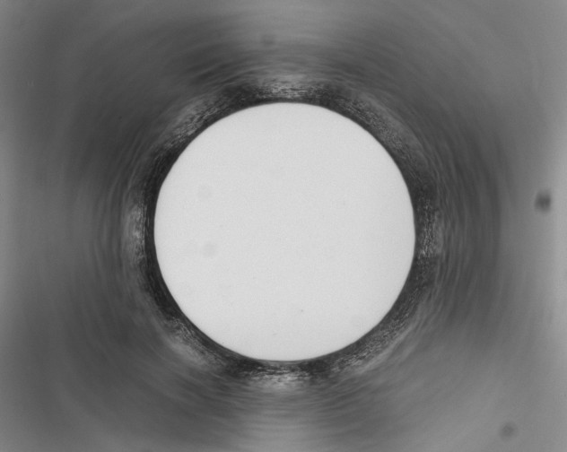 X0000116860646201001191702