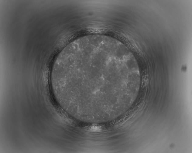 X0000116860647201001191702