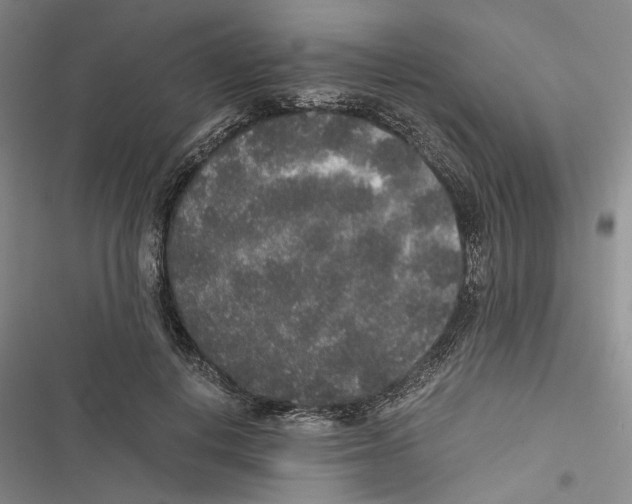 X0000116860648201001191702