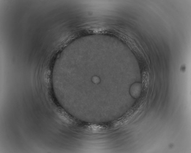 X0000116860650201001191702