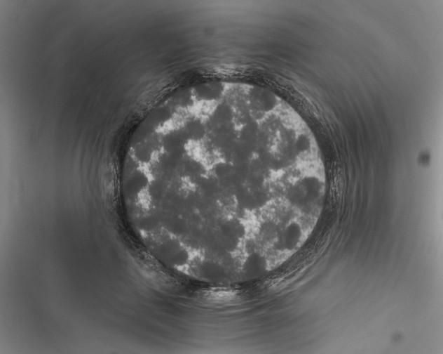 X0000116860651201001191702