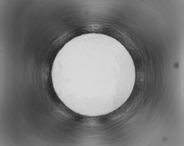 X0000116860652201001191703