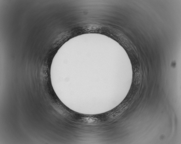 X0000116860654201001191703