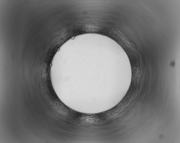 X0000116860655201001191703