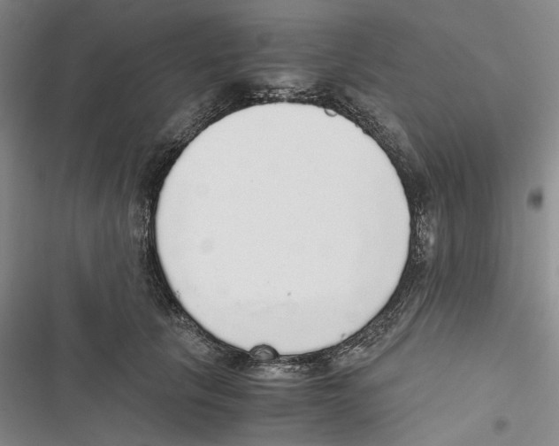 X0000116860657201001191703