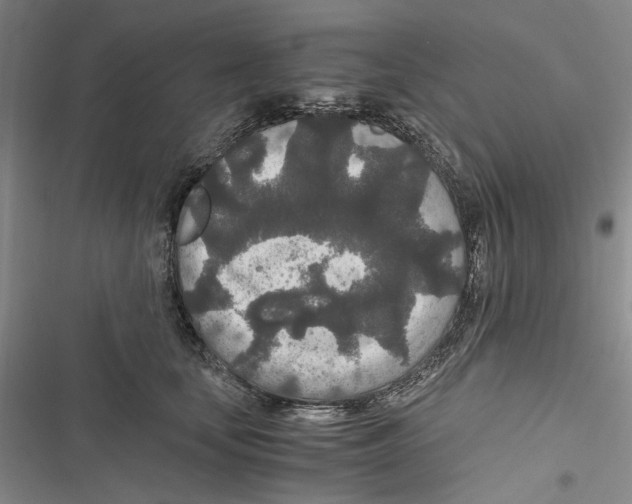 X0000116860659201001191703