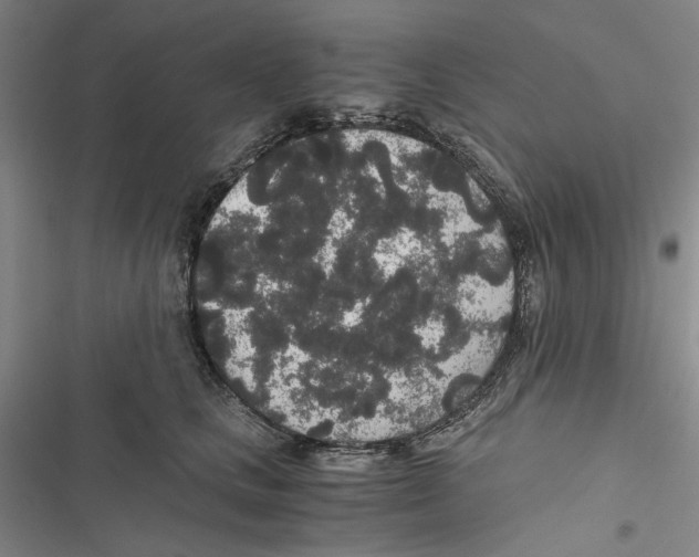 X0000116860661201001191703