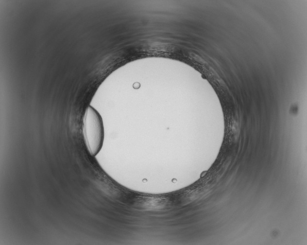 X0000116860663201001191703