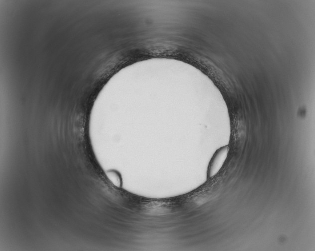 X0000116860664201001191703