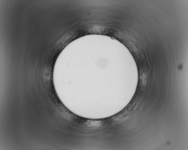 X0000116860665201001191703