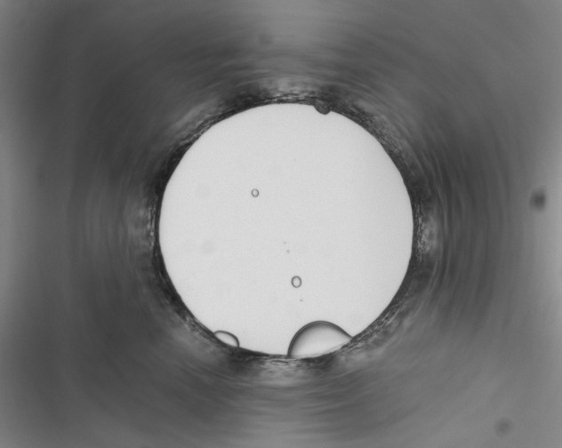 X0000116860666201001191703