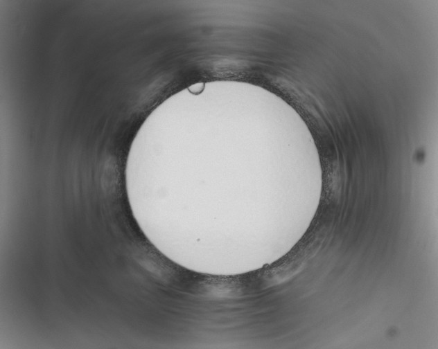 X0000116860667201001191703