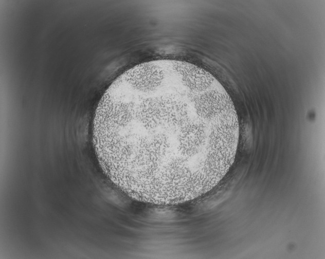 X0000116860668201001191703