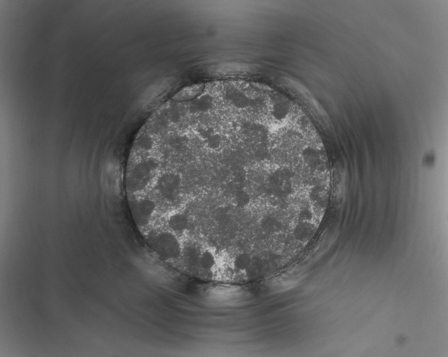 X0000116860669201001191703