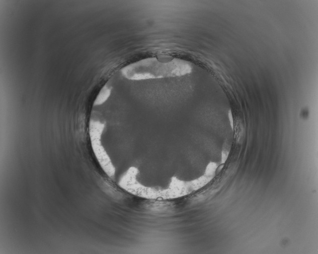 X0000116860670201001191703