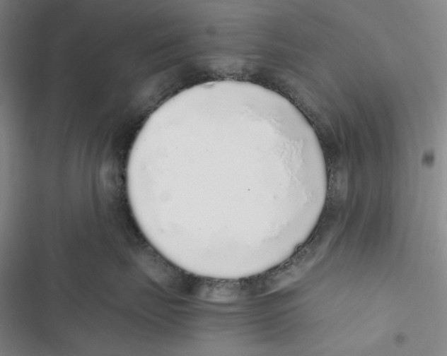 X0000116860671201001191703