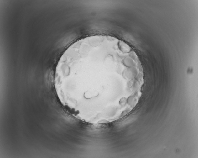 X0000116860672201001191703