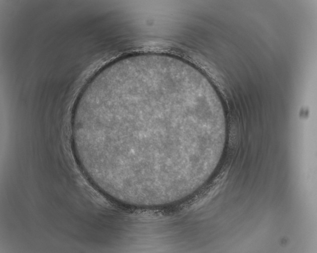 X0000116860673201001191702