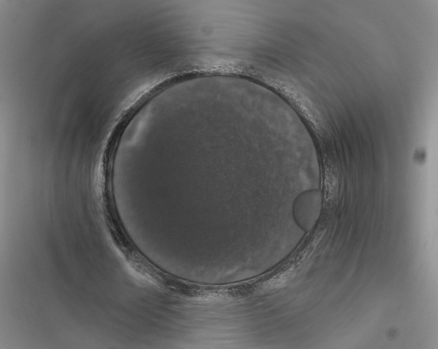 X0000116860674201001191702