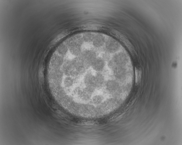 X0000116860675201001191702