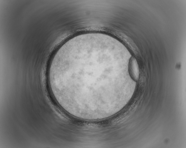 X0000116860677201001191702