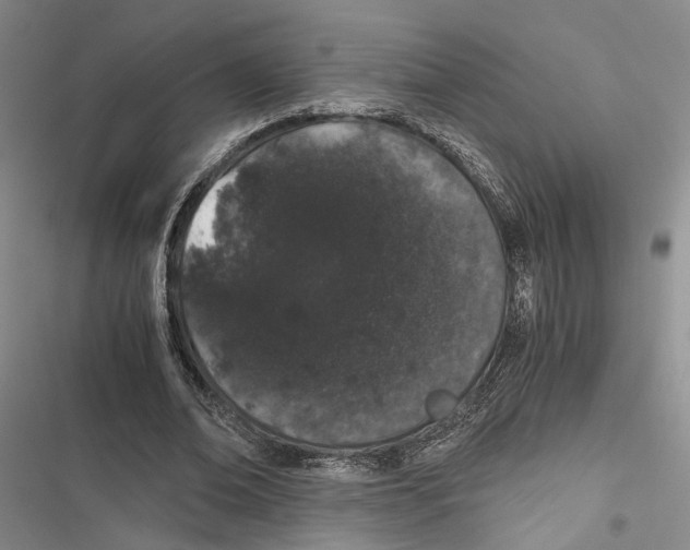 X0000116860678201001191702