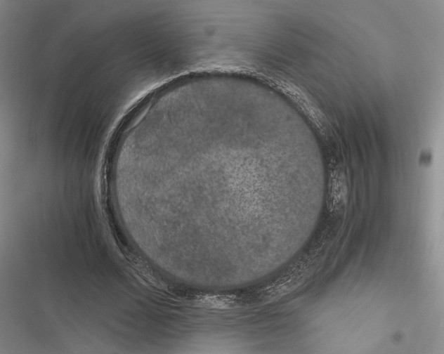 X0000116860680201001191702