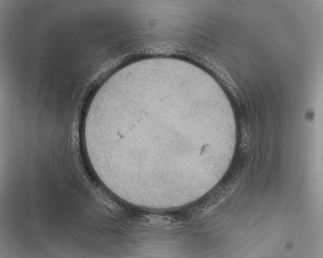 X0000116860681201001191702