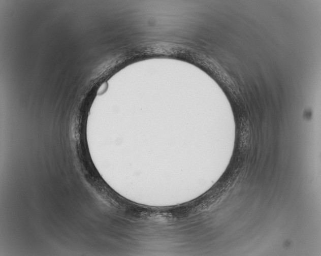 X0000116860683201001191702