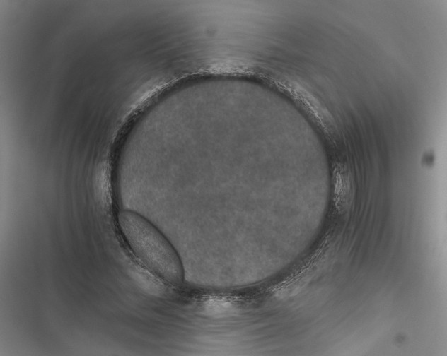 X0000116860684201001191702