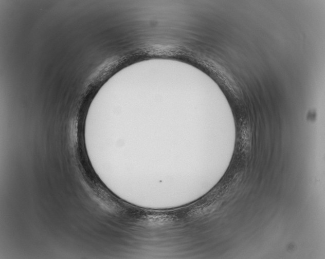 X0000116860686201001191702