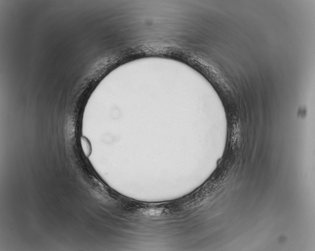 X0000116860687201001191702