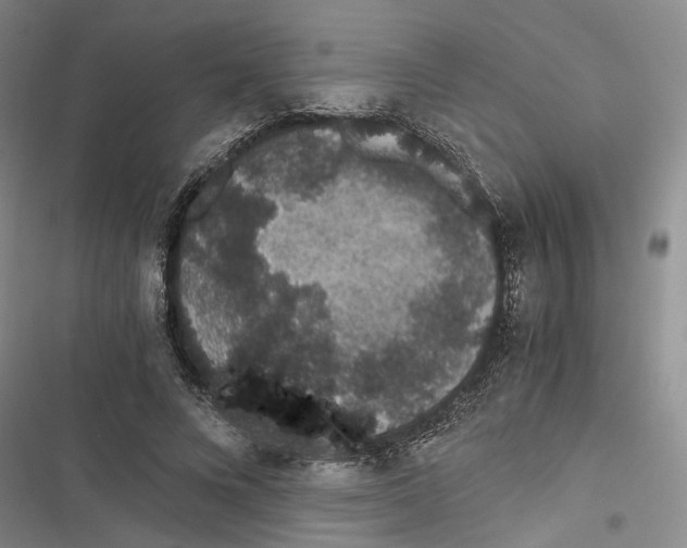 X0000116860688201001191702