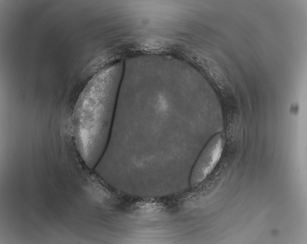 X0000116860689201001191702