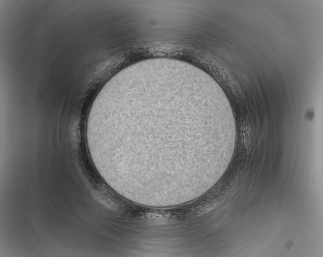 X0000116860690201001191702