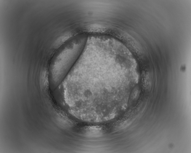 X0000116860692201001191702