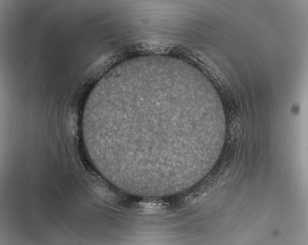 X0000116860693201001191702