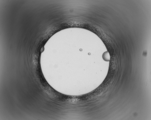 X0000116860695201001191702